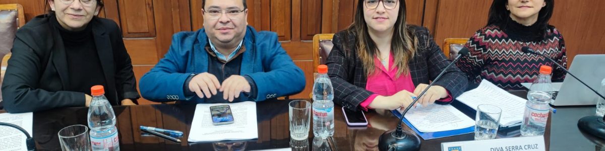Académico de Derecho UCM expuso sobre los obstáculos jurídicos después del término de la dictadura