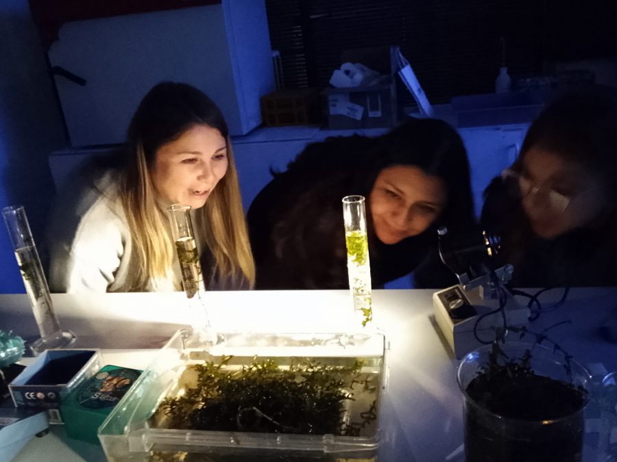 Ciencias Naturales fueron motivo de encuentro de egresados y egresadas de Parvularia