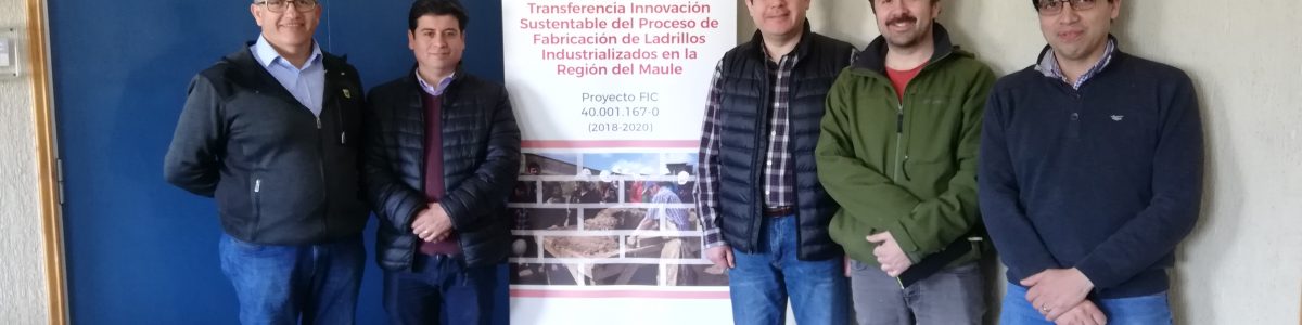 UCM y ladrilleros de Cauquenes: Patentan innovador ladrillo confeccionado en Ecohorno