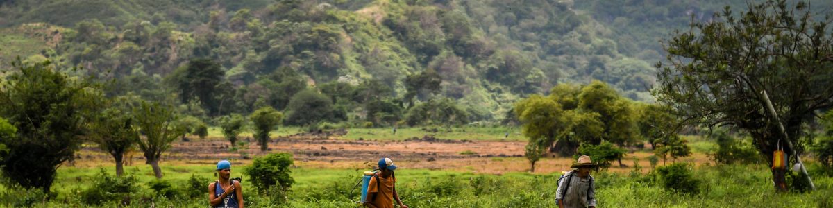 Inédito en Latinoamérica: Presentan compilación de estudios sobre efectos de plaguicidas