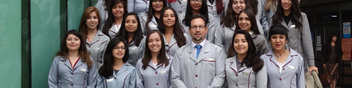 Futuros docentes de lengua castellana inician sus prácticas profesionales