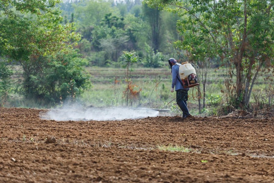 Análisis: “Prohibición del clorpirifos: Proyectándonos como un país sostenible y libre de plaguicidas peligrosos”