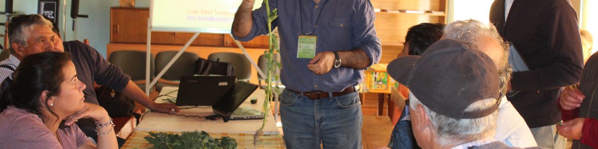 Proyectan feria comunitaria junto a productores de Lipimávida