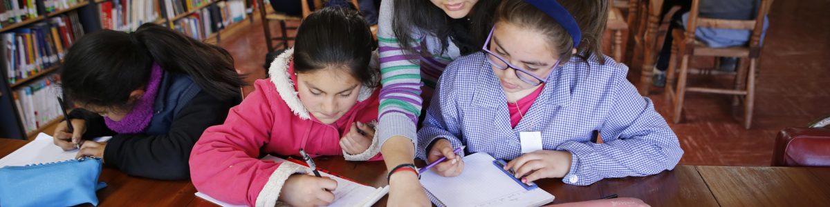 Estudiantes de escuela rural y vulnerable refuerzan sus conocimientos con proyecto “Brotes”