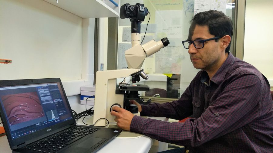 Dr. Esteban Aliaga comentará qué pasa con nuestro cerebro en pandemia en importante evento organizado por el MIM