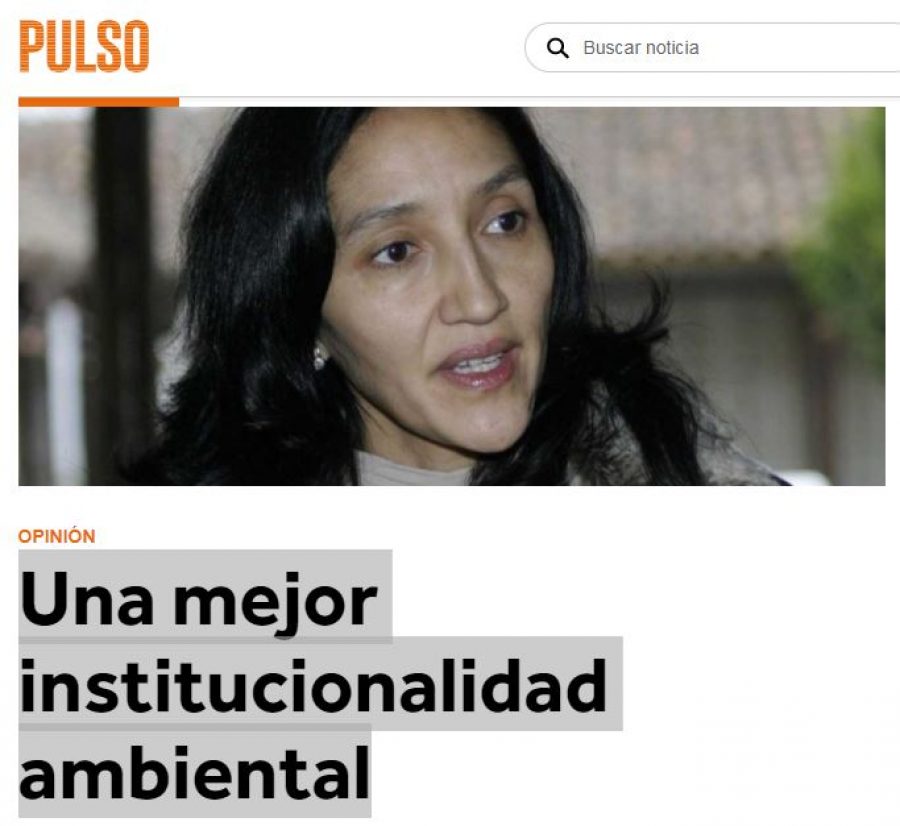 13 de septiembre en Diario El Pulso: “Una mejor institucionalidad ambiental”