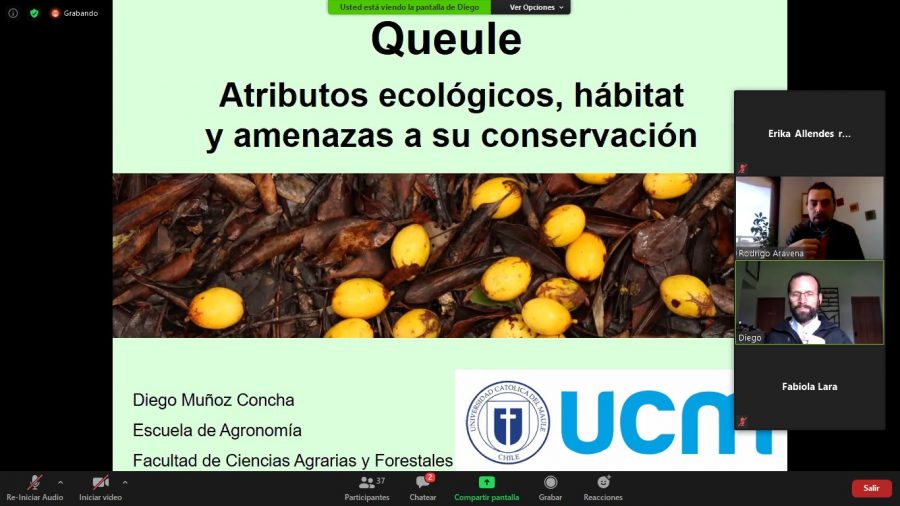 Académico UCM expone en conversatorio sobre Conservación de Especies Amenazadas