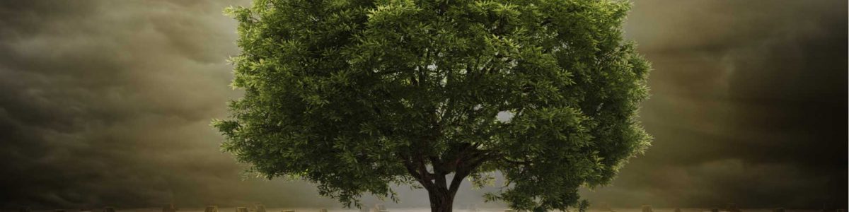 Opinión: Agotamiento de los recursos naturales disponibles