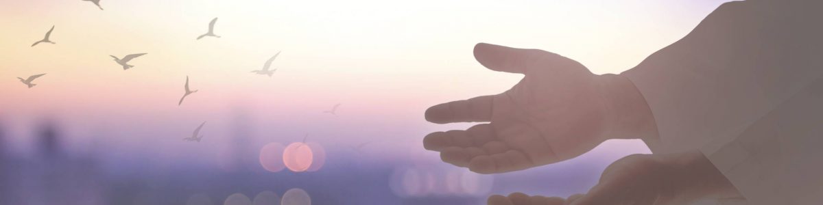 Saludo de Pascua de Resurrección de Mons. Galo Fernández