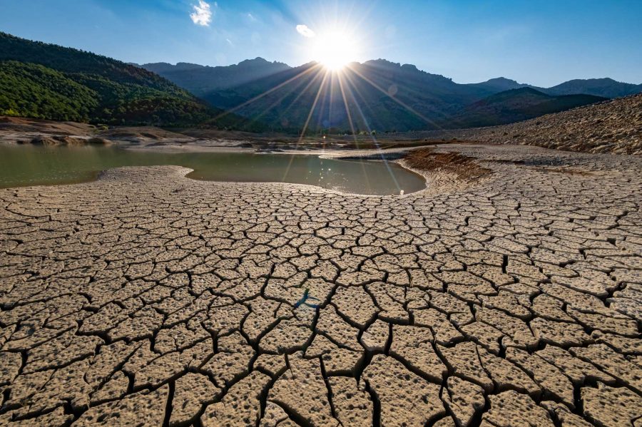 Día Mundial de la Lucha contra la Desertificación y la Sequía