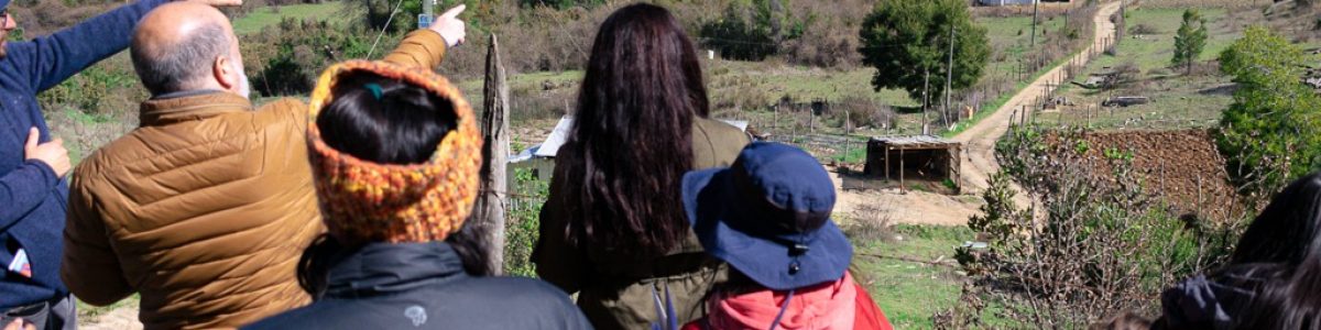 ¿Por qué ocurren y cómo afectan las problemáticas de las aguas al secano maulino?