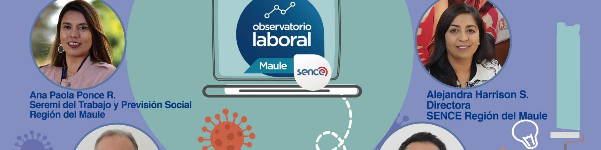 Baja la tasa de trabajo informal en el Maule y disminuye aporte del área agrícola al PIB regional