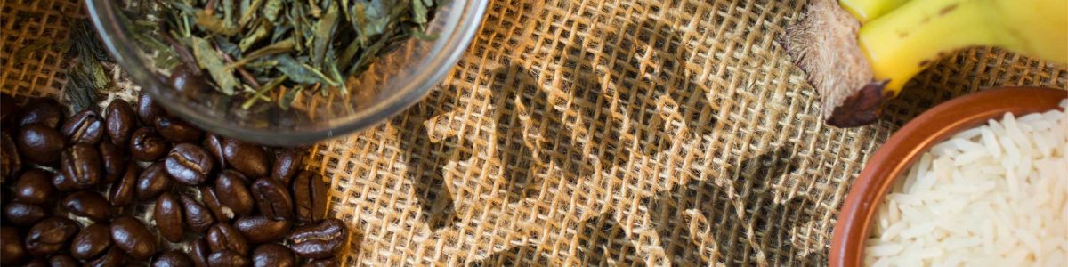 UCM invita a participar en seminario abierto sobre Comercio Justo en la agricultura de la Región Maule