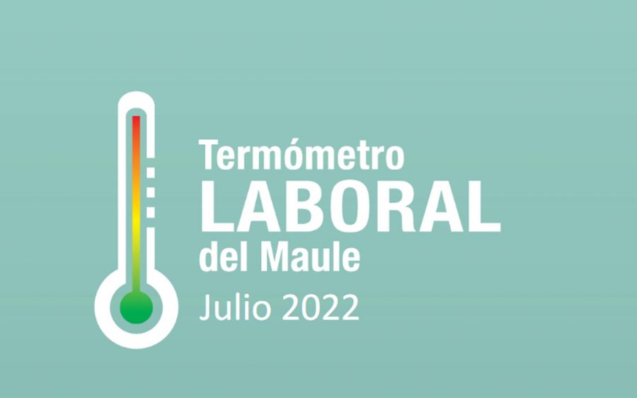 Vuelve a bajar el empleo en la región del Maule y disminuye la informalidad