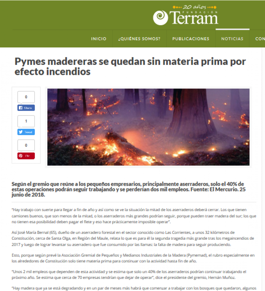 26 de junio en Terram: “Pymes madereras se quedan sin materia prima por efecto incendios”