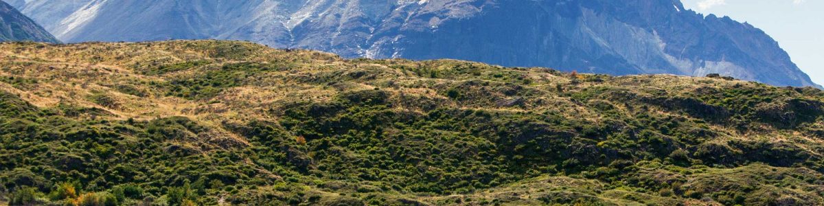 Opinión: Consideraciones para el Turismo