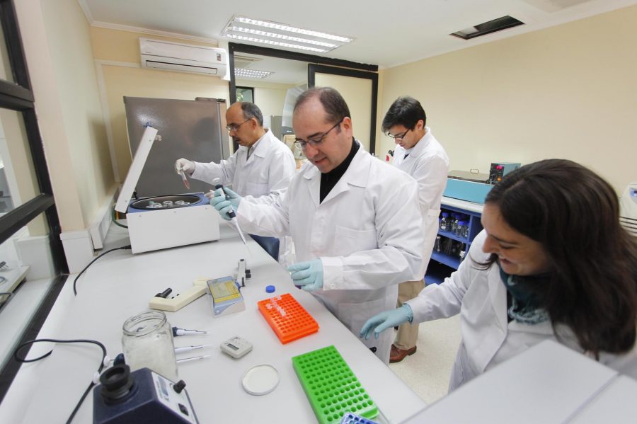 UCM avanzó 33 puestos en prestigioso ranking de investigación científica