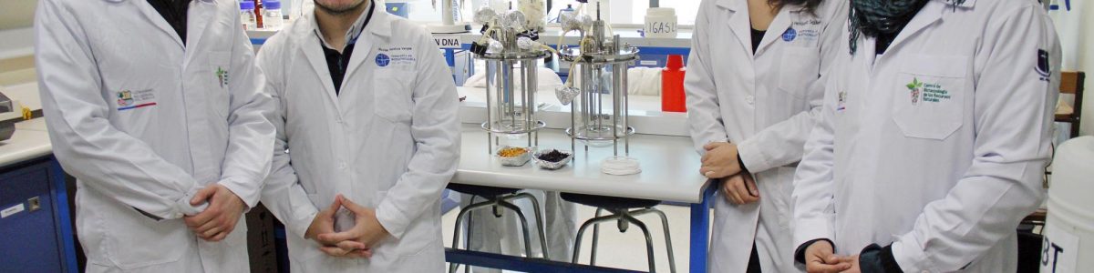 Científicos UCM buscan competir en EE.UU. con emprendimiento de plásticos biodegradables