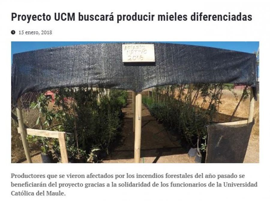 15 de enero en Universia: “Proyecto UCM buscará producir mieles diferenciadas”