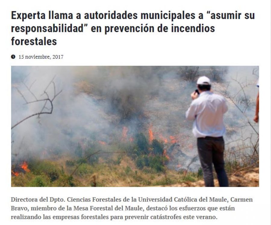 15 de noviembre en Universia: “Experta llama a autoridades municipales a “asumir su responsabilidad” en prevención de incendios forestales”