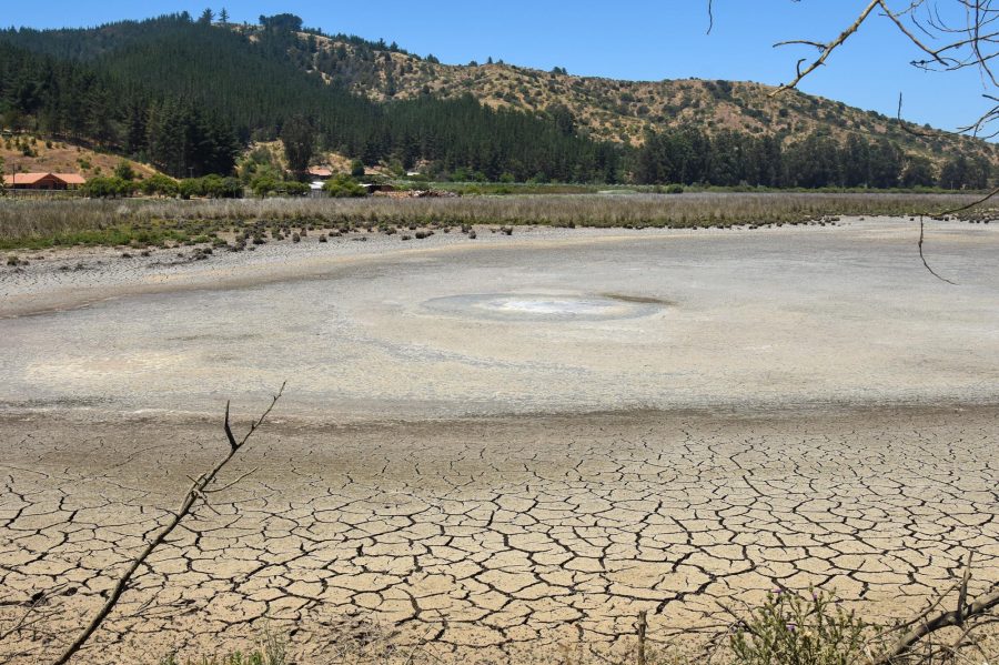 Sistema hidrológico del Lago Vichuquén, Laguna Torca y Estero Llico presentan altos grados de deterioro ambiental