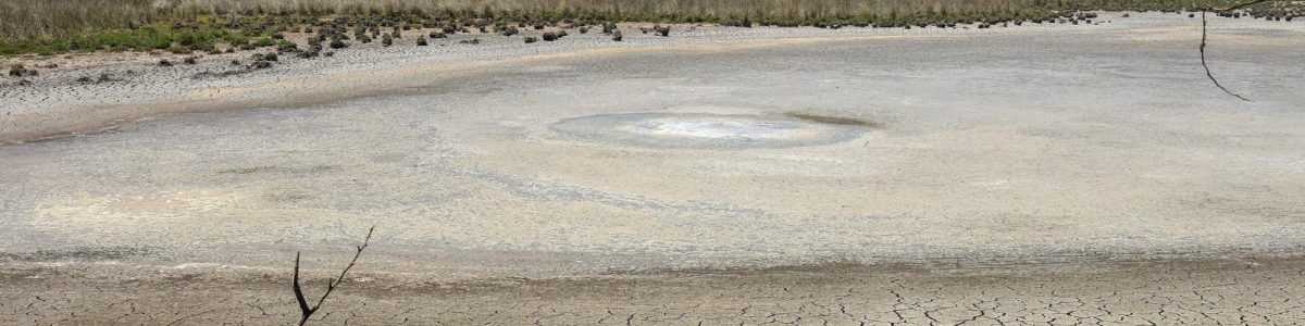 Sistema hidrológico del Lago Vichuquén, Laguna Torca y Estero Llico presentan altos grados de deterioro ambiental