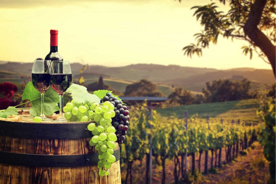 Opinión: “Día nacional del vino en la región del Maule”