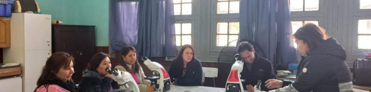 UCM acompaña a profesores y alumnos de la Escuela Chequén