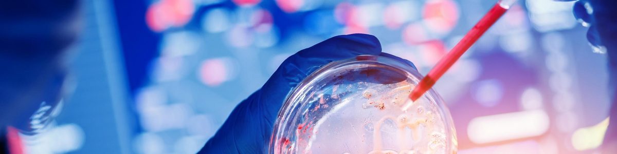 Zoonosis: Experta explica cómo es posible que un virus pase de un animal a una persona