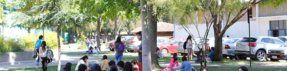 Kinesiología, Agronomía y Pedagogía básica de la UCM dentro de las mejores del país
