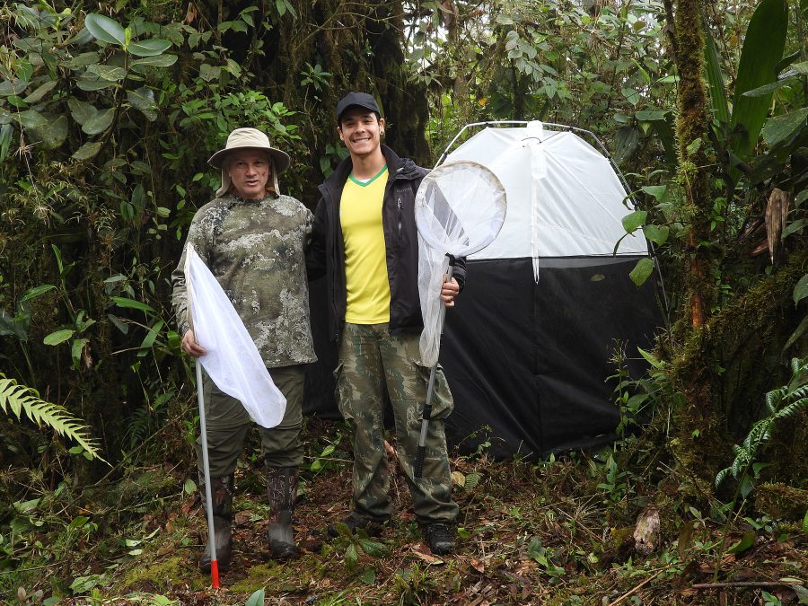 Académico UCM colabora en descubrimiento de nuevas especies de avispas en Colombia
