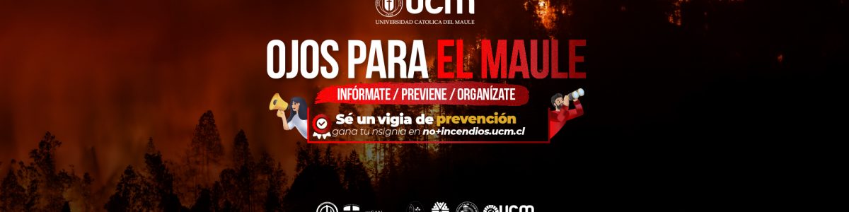 Ojos Para el Maule: La exitosa campaña que aportó en la prevención de incendios forestales