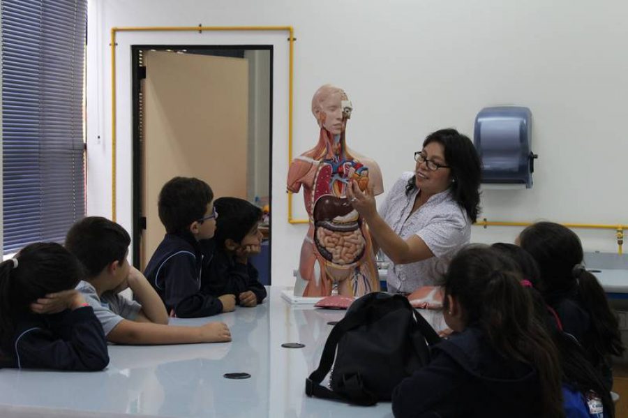 Alumnos de colegio de Teno cumplen sueño de conocer la UCM