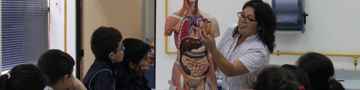 Alumnos de colegio de Teno cumplen sueño de conocer la UCM