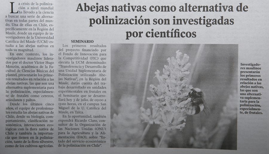 03 de julio en Diario El Centro: “Abejas nativas como alternativa de polinización son investigadas por científicos”