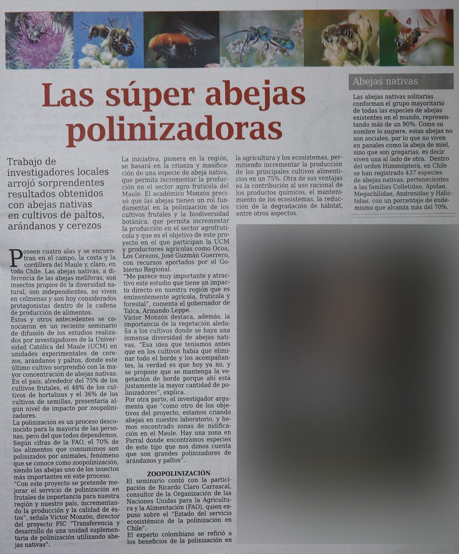 16 de julio en Diario El Centro: “Las súper abejas polinizadoras”