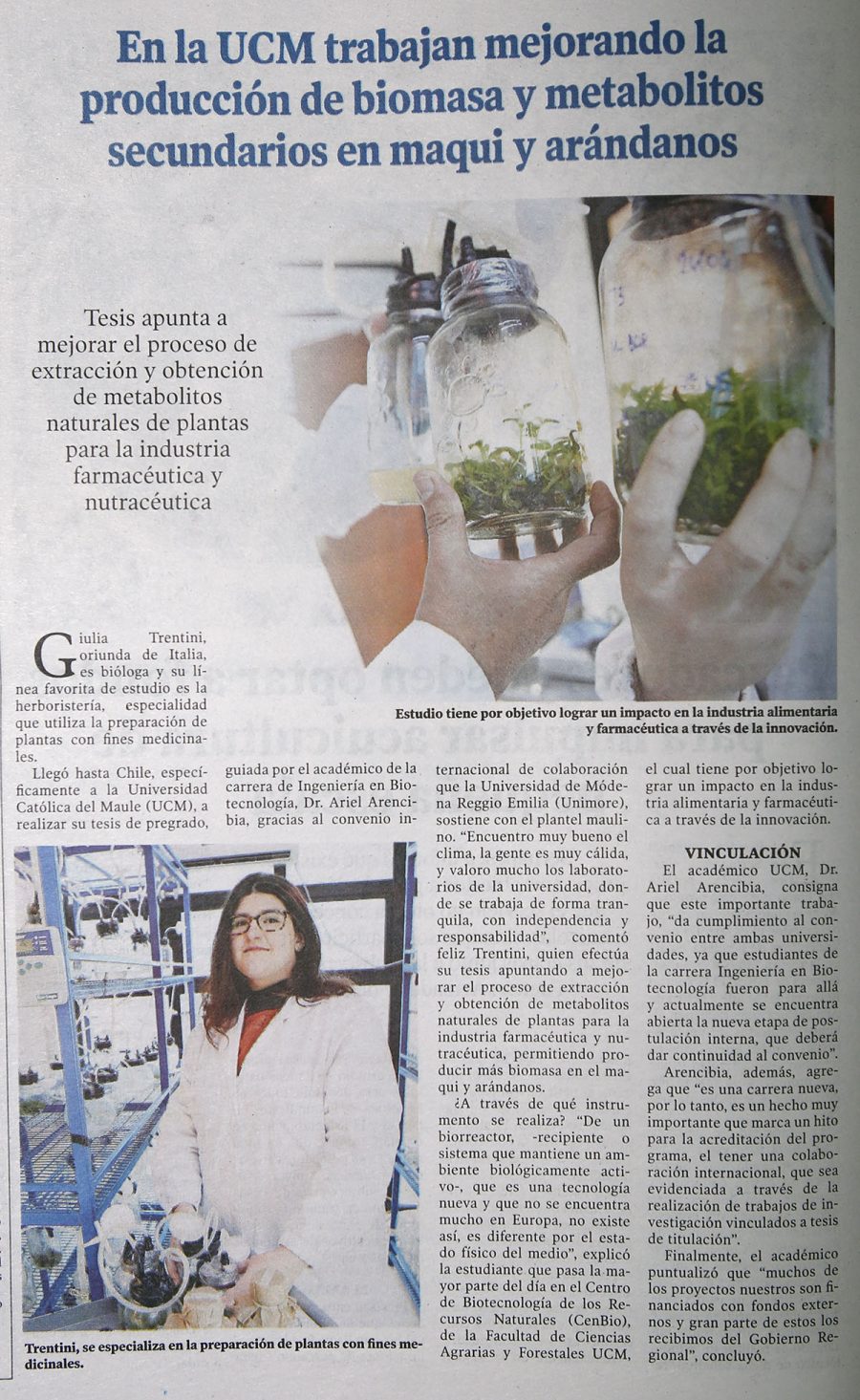 19 de junio en Diario El Centro: “En la UCM trabajan mejorando la producción de biomasa y metabolitos secundarios en maqui y arándanos”