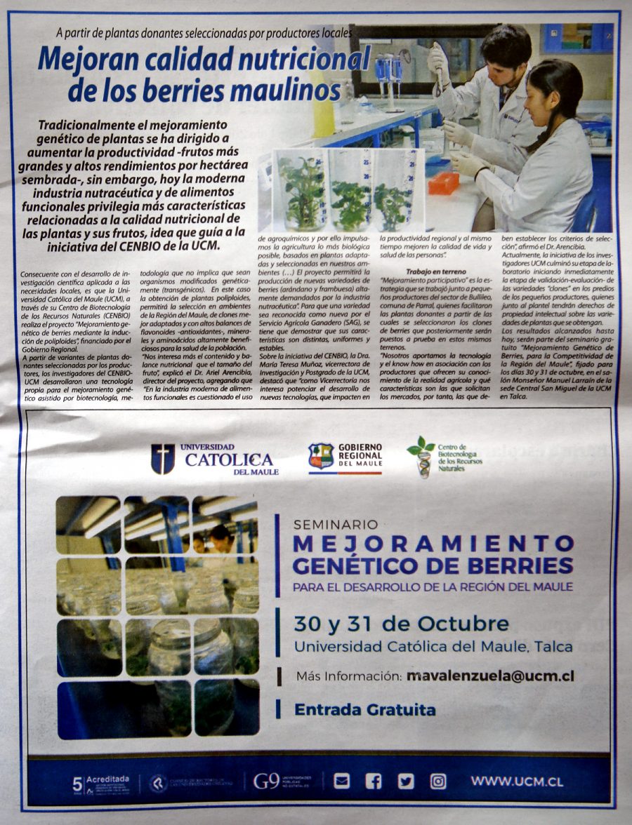 29 de octubre en Diario El Centro: “Mejoran calidad nutricional de los berries maulinos”