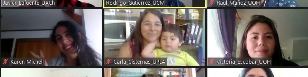 Exitoso encuentro nacional de estudiantes tutores de forma virtual