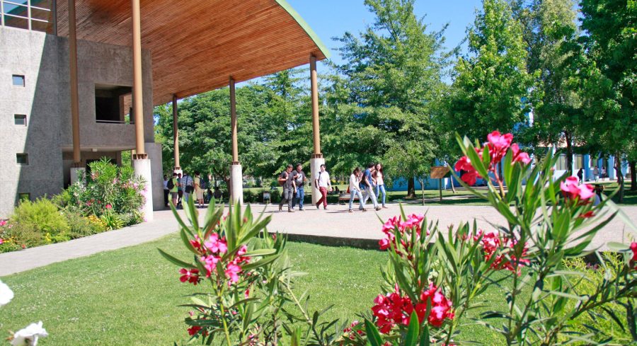 Escuela de Estudiantes Ayudantes UCM: Formación en habilidades pedagógicas y transversales para el desarrollo de líderes