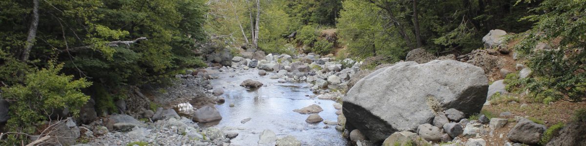 Acciones cotidianas ayudan a disminuir la Huella Ecológica