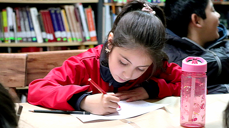 Biblioteca Huilquilemu celebró el Día Internacional del Libro