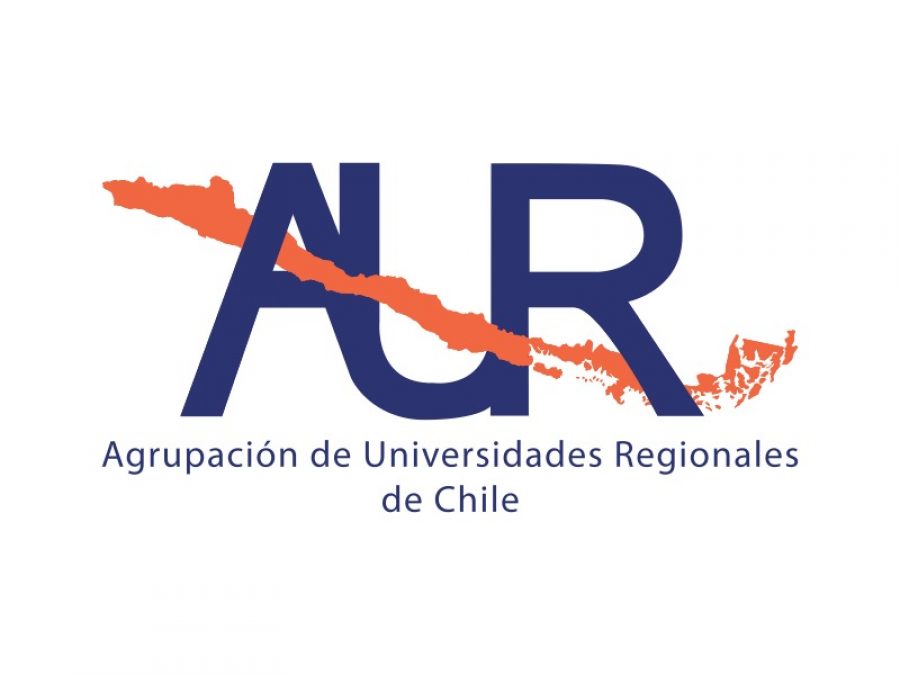 Opinión: “Comisión de Expertos (as): El desafío de incluir la perspectiva del Chile Regional”