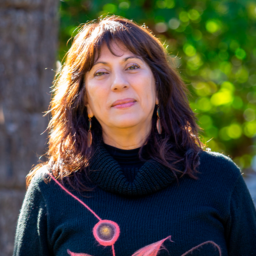 Sra. Ma. Luisa Collarte Inzunza