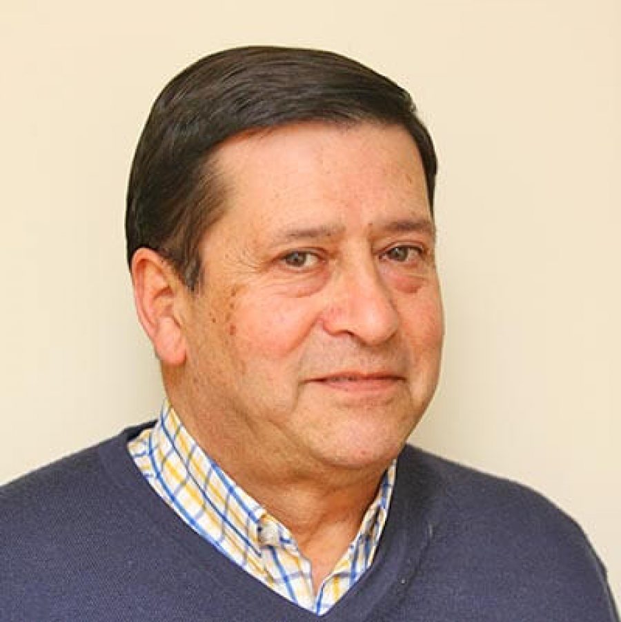 Mario Castro Hernández
