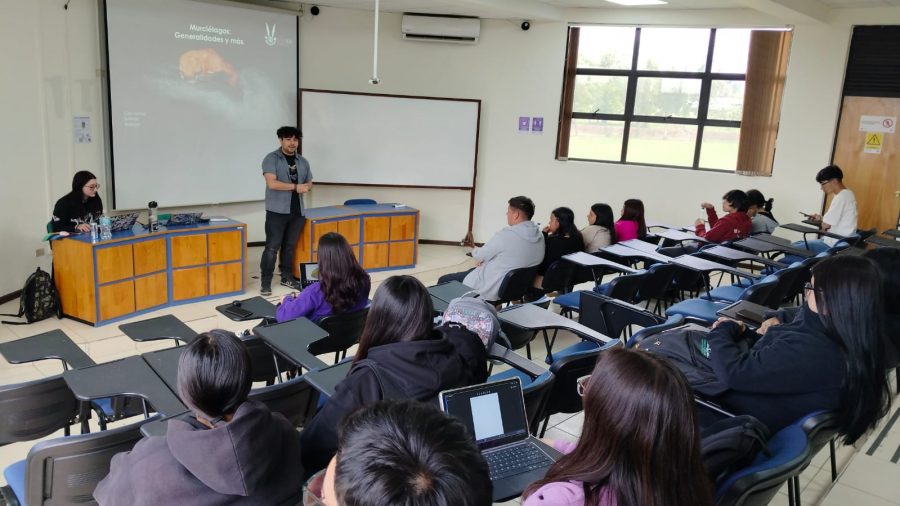 Charla destacó el rol de los murciélagos como controladores de plaga y polinizadores