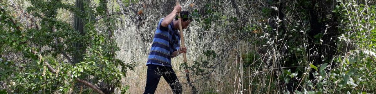 Investigación confirma asertividad de imágenes satelitales respecto a severidad de los incendios forestales