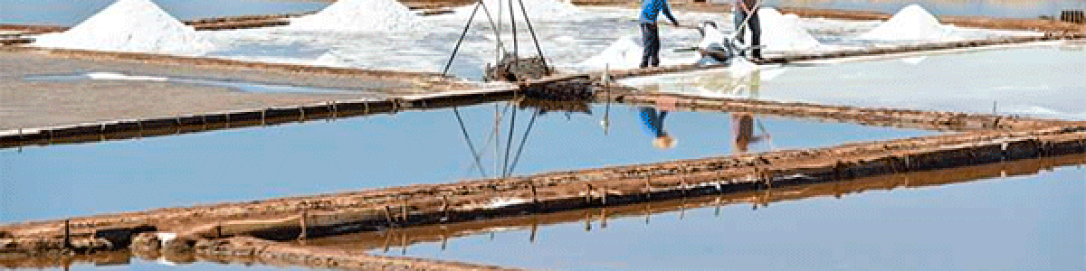 Salinas de Boyeruca sobreviven al siglo XXI