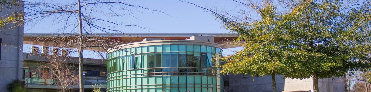 Hoy se realizará cabildo triestamental sobre salud