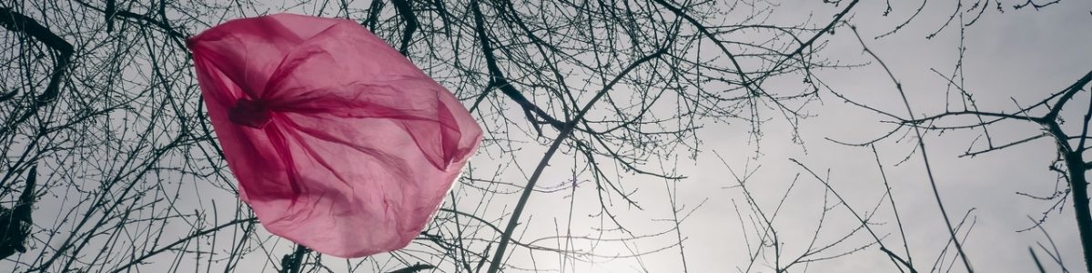 Opinión: Desafíos y avances de la prohibición de bolsas plásticas en Chile